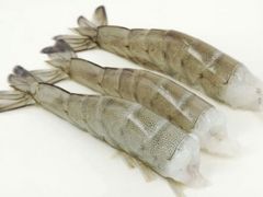 Frozen Vannamei Shrimps Shrimp Hot Sale Seafood Frozen Vannamei Shrimps From VietNam – product photo 4, product detail gallery