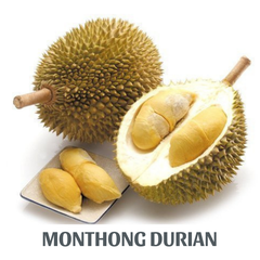 FRESH DURIAN RI6 MONTHONG EXPORT WHOLESALE FROM VIETNAM HIGH QUALITY SUPPLIER FOR US, EU MARKET – product photo 3, product detail gallery