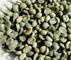 Coffee Beans from Vietnam at Cheap Price - Green Coffee – product photo 2, product detail gallery