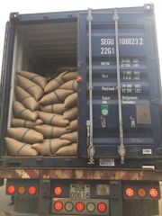 ROBUSTA GREEN COFFEE BEANS SCR#16, VIETNAM ORIGIN, HIGH QUALITY, REASONABLE PRICE (used to make hot beverage, etc.) - Image 2