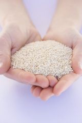 HULLED SESAME SEED  Packaging 25KG PAPER BAG Grade HULLED 99.95, - Image 1