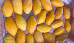 Frozen Mango - Image 10