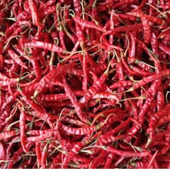 Teja Red Chilli Packaging Details 25/50Kg Place of Origin Andhra Pradesh, - Image 1