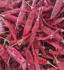 Teja Red Chilli Packaging Details 25/50Kg Place of Origin Andhra Pradesh, - Image 2