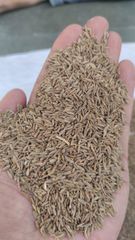 Cumin Seed – product photo 1, product detail gallery