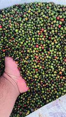 Black Pepper Malabar Bold – product photo 2, product detail gallery