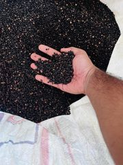 Black Pepper Malabar Bold – product photo 3, product detail gallery