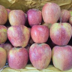 Apple Packaging 16kg - Image 2