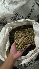 Indonesian Coffee Green Beans – product photo 3, product detail gallery