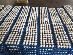 whole table chicken eggs for sale  - Image 1
