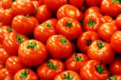 Indian Fresh Vegetables - Image 13