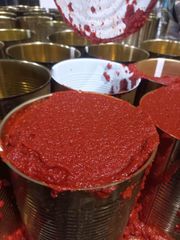 Tomato paste Shelf Life 2 years Packaging Drum packing ,Tin - Image 2