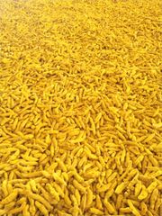 Turmeric - Image 2