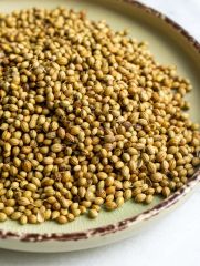 Premium Indian Coriander Seeds (Dhaniya) | Eagle Sortex 99% Purity | Golden-Green Hue & High Aroma | Direct Export Supply - Image 2