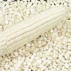 White Corn - Image 3