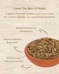 Cumin seeds  – product photo 6, product detail gallery