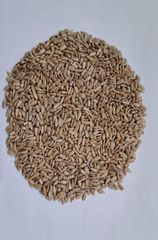 Sunflower kernels confectionery  Grade Confection Manufacturer Agimax Bulgaria Packaging Big Bags/Paper - Image 1