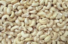 Cashew Nuts Max. Moisture (%) ≤5% Packaging Flexible (as required) Storage Type Temp controlled warehouses, moisture-free - Image 3