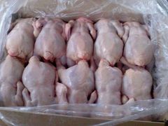 Wholesale Frozen Chicken Paws Frozen Chicken Feet – product photo 1, product detail gallery