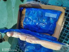 Boneless Chicken Breast and Inner Fillet now Available - Image 2