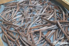 Natural Vanilla Beans Grade A+ – product photo 2, product detail gallery