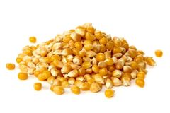 Sweet Corn