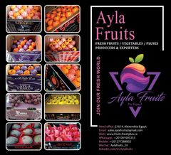 Ayla fruits for export