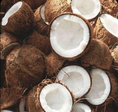 old coconut - Image 1