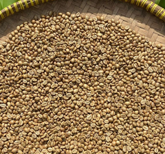 Arabica Green bean Coffee – product photo 3, product detail gallery