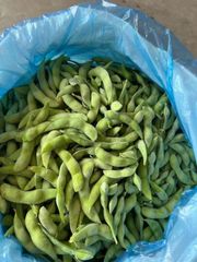IQF Frozen Edamame kernels/pods - Image 2
