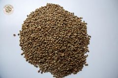 ROBUSTA SCREEN 15 - Image 5