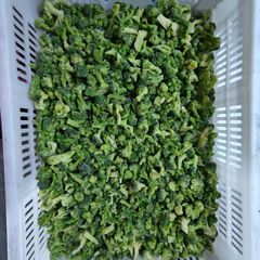 IQF Frozen Broccoli Grade A Size 1-2cm Color Green Technique IQF Texture Tender Ice Cover 5%-15% Shelf Life 24months Pest Status No Worms - Image 1