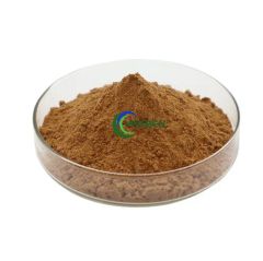 Herbal Extract Tangerine Seed Extarct Semen Citri Reticulatae - Image 1