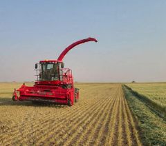 Alfalfa hay Canada – product photo 4, product detail gallery