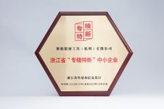 Specialized in special new small and medium-sized enterprises certificate from Pavo Tools (Hangzhou) Co., Ltd.