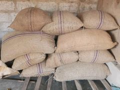 Raw Cashew Nuts - Image 4