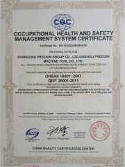 OHSAS 18001 certificate from DEZHOU PRECION MACHINE TOOL CO., LTD.