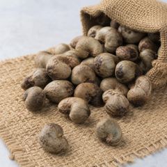 High Quality Grade Raw Cashew Kernels for Premium Food Products Bakery Ingredients And Processing Businesses - Image 4