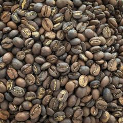 Coffee bean - Image 1