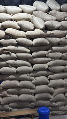 Cocoa beans - Image 2