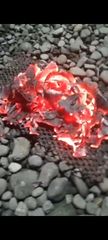 Coconut Shell Charcoal – product photo 4, product detail gallery