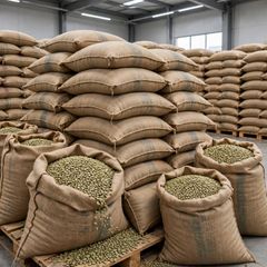 Premium Arabica Coffee Beans 100% Single Origin & Fresh Unroasted | Wholesale Arabica Coffee Beans Supplier & Exporter - Image 5