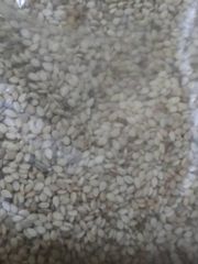 Sesame Seed – product photo 2, product detail gallery