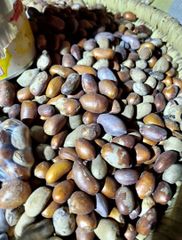 Nutmeg Form Uncut Freshness Level Dried Delivery Form Other, Package Features Fair Trade, Organic, Without Additives, Without Colourants, Without Flavor Enhancers - Image 1