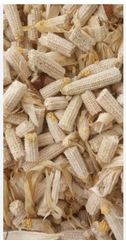 Corn Cob - Image 2