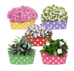 Modern design metal planter pot outdoor decorate item metal planter square flower pot at wholesale price - Image 6