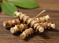 Premium Indonesian Kaempferia Galanga – product photo 1, product detail gallery