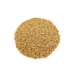 Wholesale wheat grains maintained for continuous trade and high quality resale - Image 1