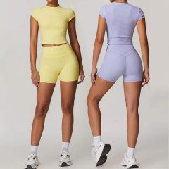 2025 New Sportswear Sports Bra Leggings Suit Fitness Women Gym Wear Yoga Sets - Image 2