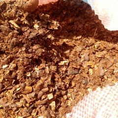 Cocoa Shells - Image 3